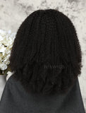 Afro Kinky Curly Human Hair Lace Front Wigs Natural Black Hair Color