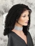 Afro Kinky Curly Human Hair Lace Front Wigs Natural Black Hair Color