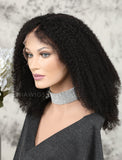 Afro Kinky Curly Human Hair Lace Front Wigs Natural Black Hair Color