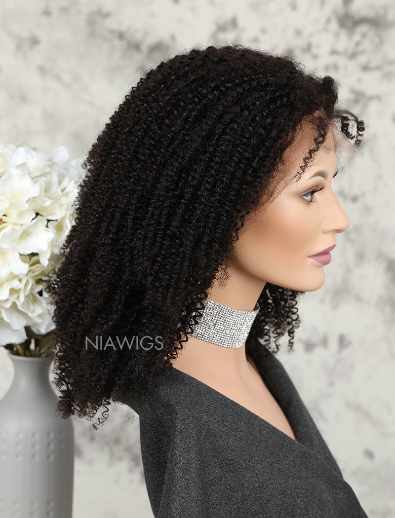 Kinky Curly Human Hair Lace Front Wigs Free Parting For African American NiaWigs