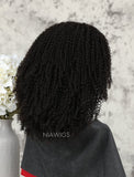 Kinky Curly Human Hair Lace Front Wigs Free Parting For African American