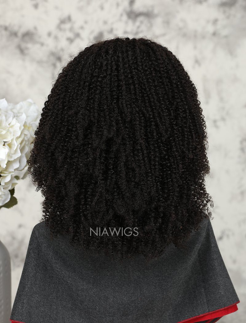 Kinky Curly Human Hair Lace Front Wigs Free Parting For African American