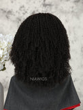Kinky Curly Human Hair Lace Front Wigs Free Parting For African American