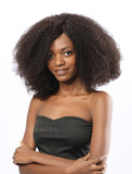 Asia Remy Hair 16 Inches Lace Front Wig Afro Kinky Curly